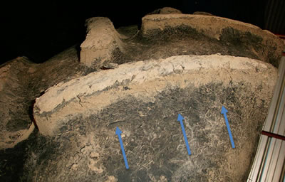 Fissures de la bande de roulement